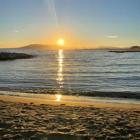 Maui En El Palo